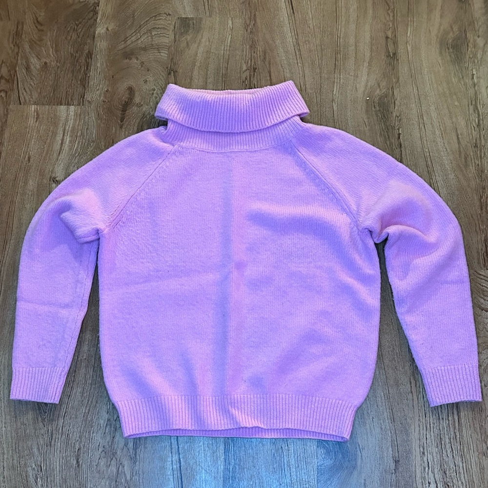 Ann Taylor Turtleneck Sweater